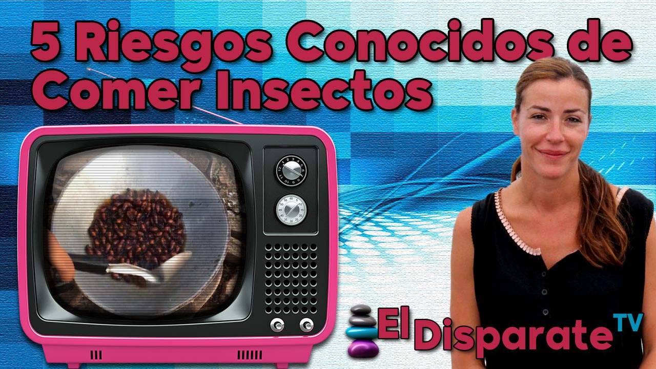 5 Riesgos Conocidos de Comer Insectos – El Disparate TV